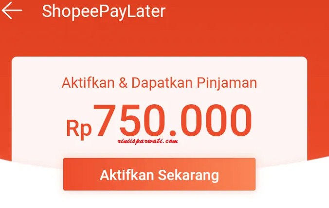 shopee paylater