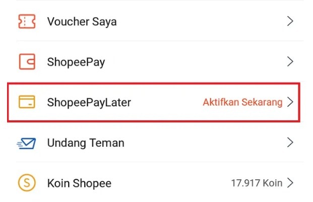shopeepaylater