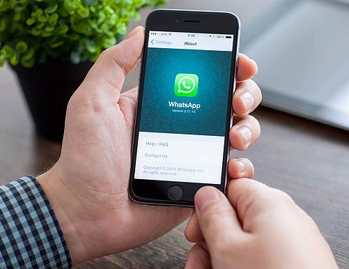 cara mengetahui lokasi pengguna whatsapp
