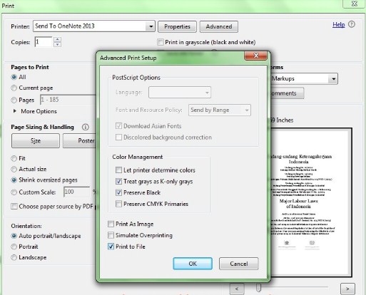 pinter tidak bisa print pdf