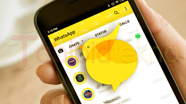 CooCoo WhatsApp Mod Apk