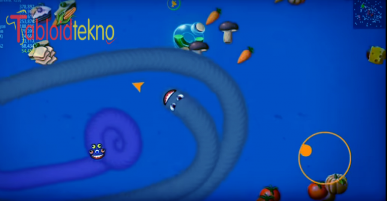Worm Zone IO Mod