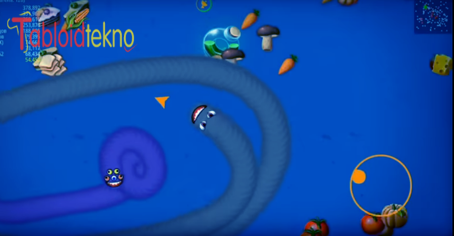 Worm Zone IO MOd