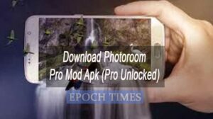 Download Photoroom Pro Mod Apk (Pro Unlocked)