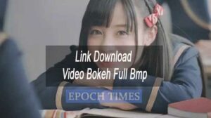 Link Download Video Bokeh Full Bmp