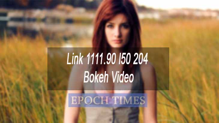 Link 1111.90 l50 204 Bokeh Video
