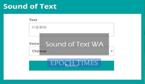 Sound of Text WA