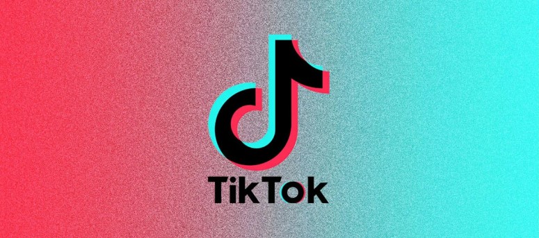 Link-Download-TikTok-Followers-Com