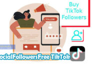 SocialFollowersFree-TikTok