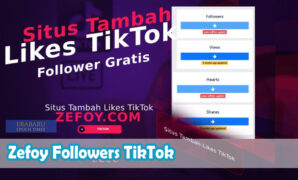 Zefoy-Followers-TikTok