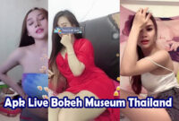 Apk-Live-Bokeh-Museum-Thailand
