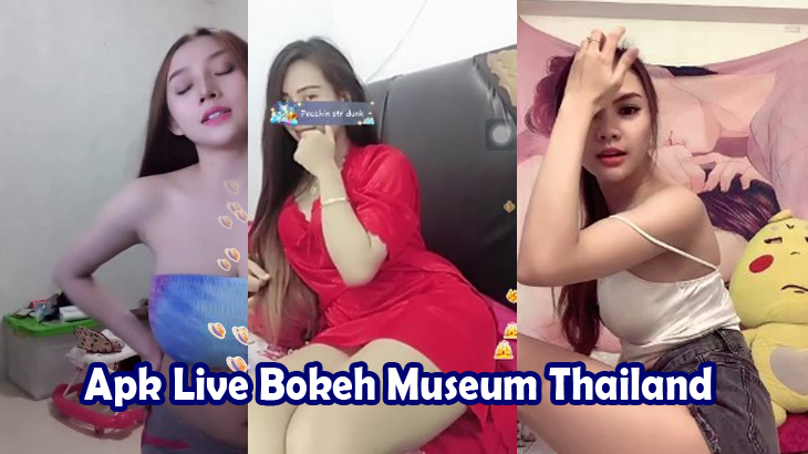 Apk-Live-Bokeh-Museum-Thailand